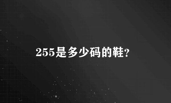 255是多少码的鞋？