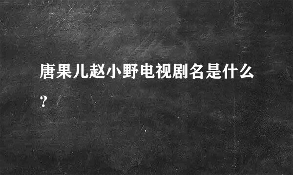 唐果儿赵小野电视剧名是什么？