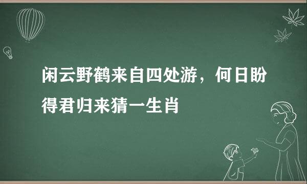 闲云野鹤来自四处游，何日盼得君归来猜一生肖