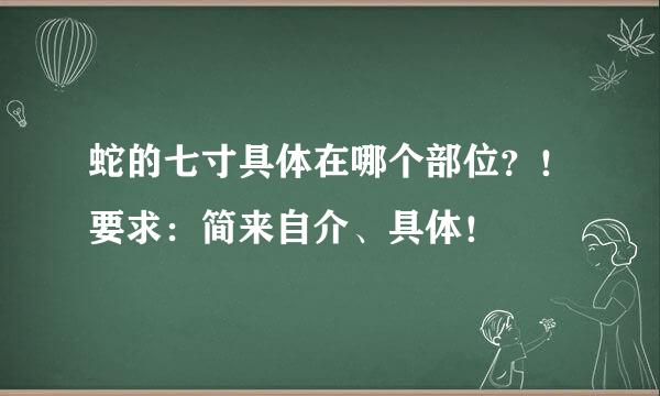 蛇的七寸具体在哪个部位？！要求：简来自介、具体！