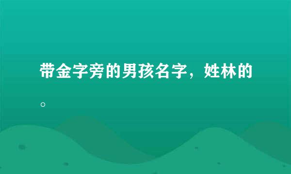 带金字旁的男孩名字，姓林的。