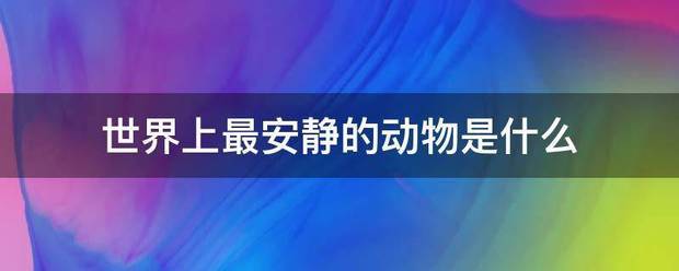 世界上最安静的动物是什么