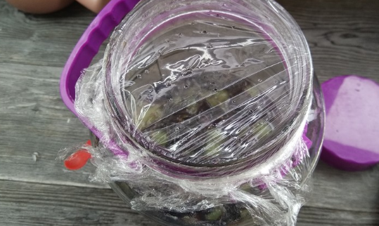 葡萄酒的酿制方法