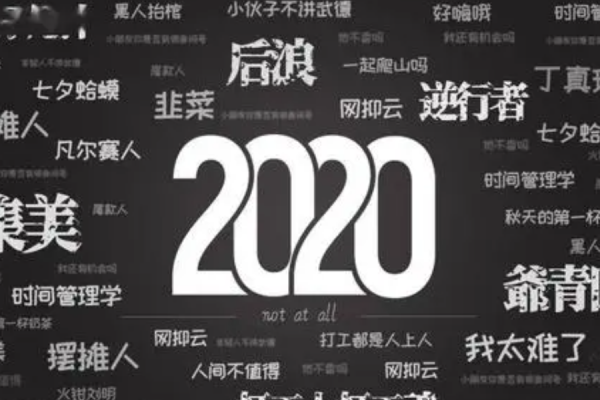sx什么意思网络用词