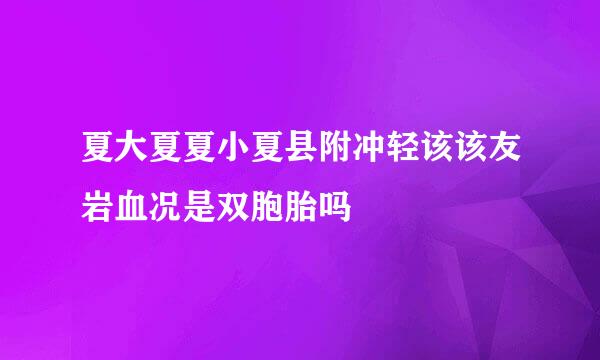 夏大夏夏小夏县附冲轻该该友岩血况是双胞胎吗