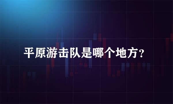 平原游击队是哪个地方？