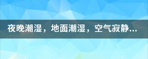 夜晚潮湿，地面潮湿，空气寂静，树林沉默，什么意思？