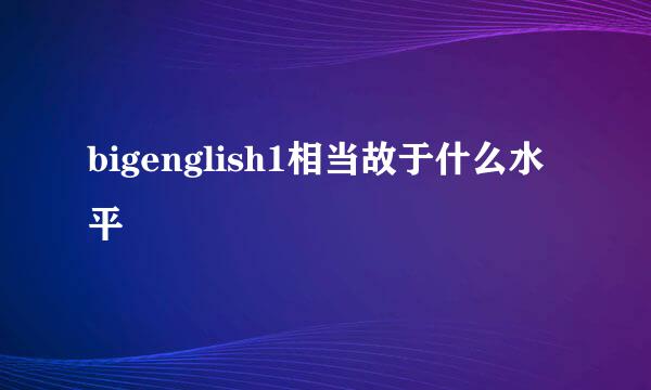 bigenglish1相当故于什么水平