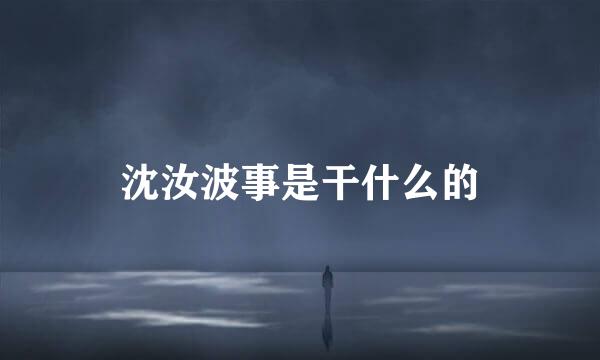 沈汝波事是干什么的