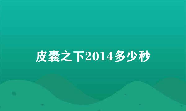 皮囊之下2014多少秒