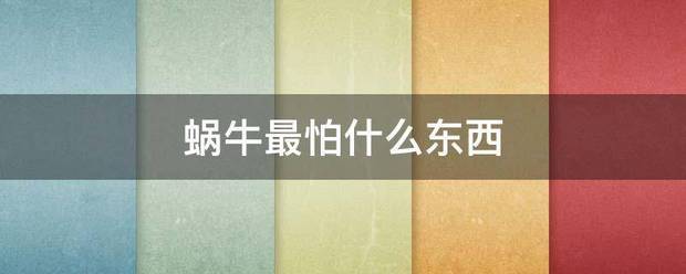 蜗牛最怕什么东西