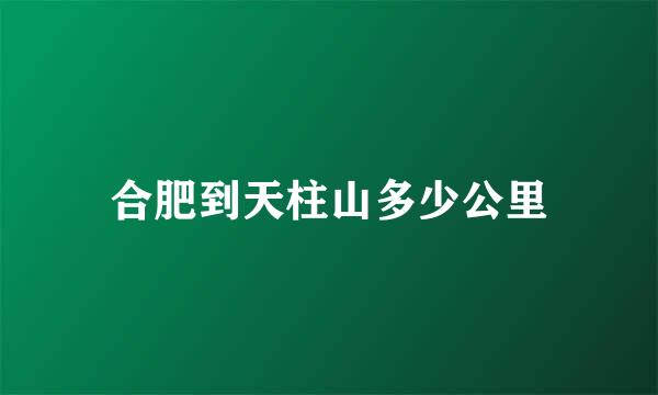 合肥到天柱山多少公里