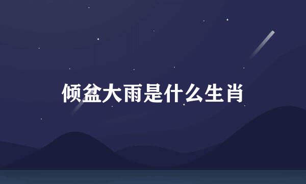 倾盆大雨是什么生肖