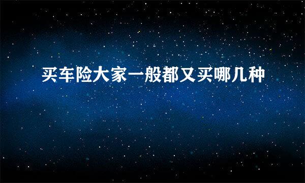 买车险大家一般都又买哪几种