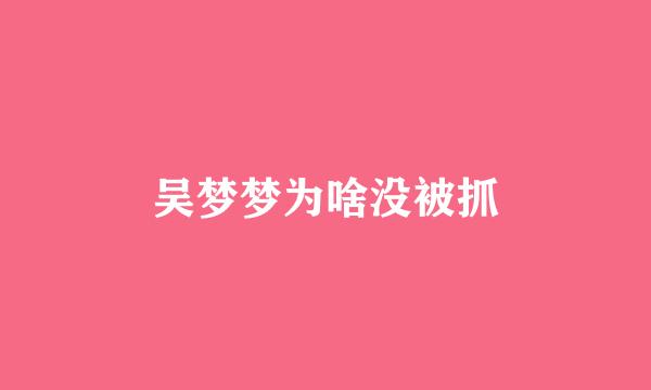 吴梦梦为啥没被抓