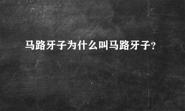 马路牙子为什么叫马路牙子？