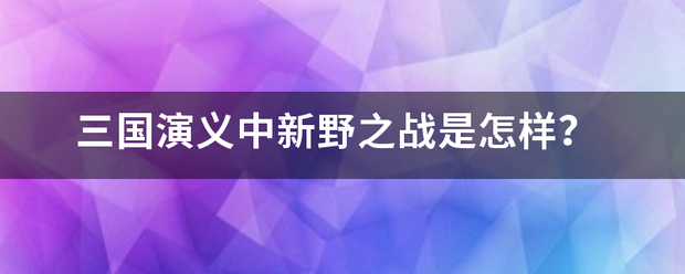 三国演义中新野之战是怎样？