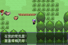 口袋妖怪漆黑的来自魅影5.0全流程图文360问答攻略合集 口袋妖怪漆黑的魅影5.0图文攻略详解