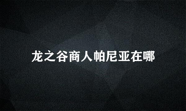 龙之谷商人帕尼亚在哪