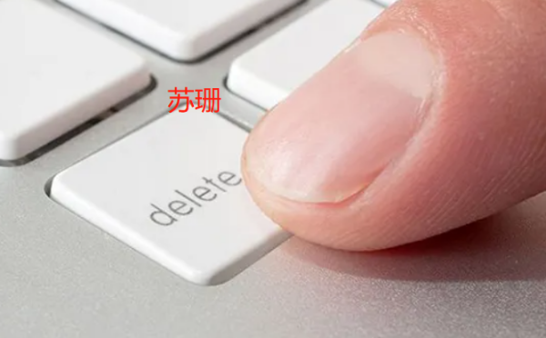 苏珊是什么梗