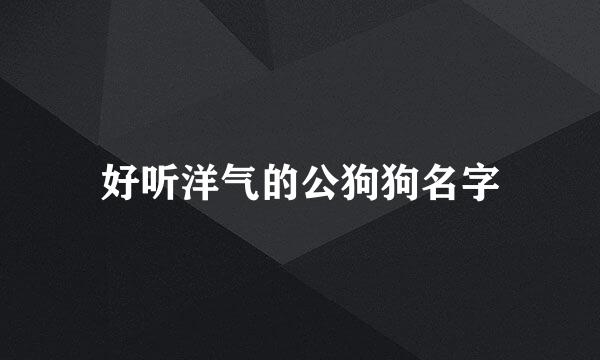 好听洋气的公狗狗名字