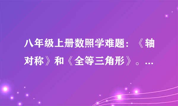 八年级上册数照学难题：《轴对称》和《全等三角形》。（人教）