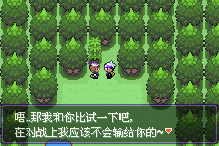口袋妖怪漆黑的来自魅影5.0全流程图文360问答攻略合集 口袋妖怪漆黑的魅影5.0图文攻略详解