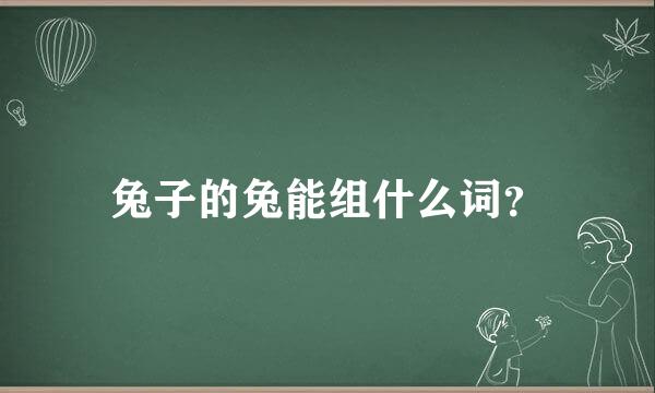 兔子的兔能组什么词？
