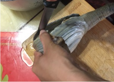 象拔蚌内脏可以吃吗