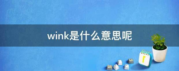 wink是什么意思呢
