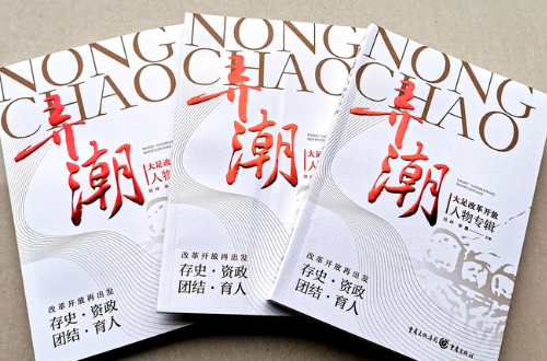 2023十部顶级官场耐看小说