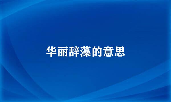 华丽辞藻的意思