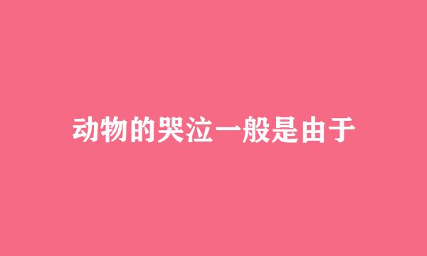 动物的哭泣一般是由于