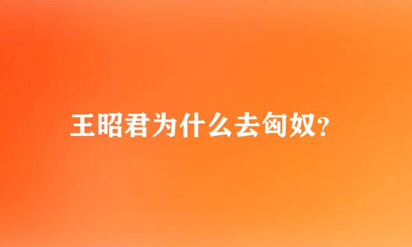 王昭君为什么去匈奴？