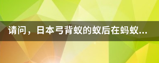 请问，日本弓背蚁的蚁后在蚂蚁工坊里能否产卵，再卵化成小蚂蚁！！！