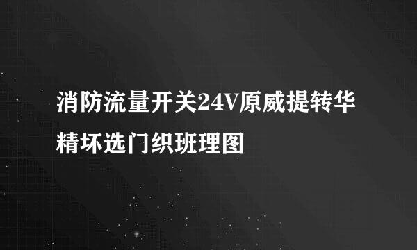 消防流量开关24V原威提转华精坏选门织班理图