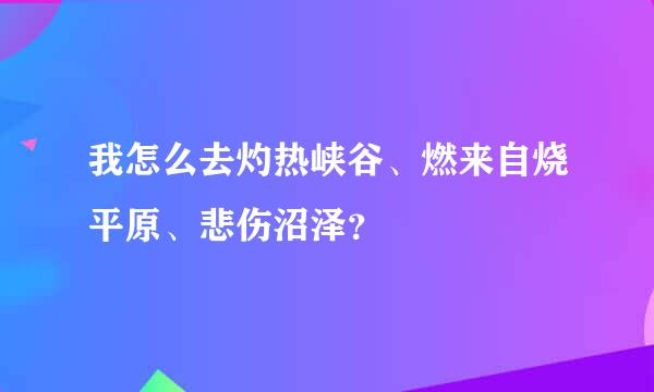 我怎么去灼热峡谷、燃来自烧平原、悲伤沼泽？