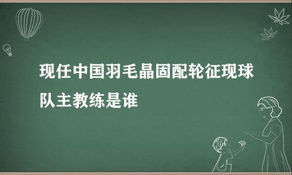 现任中国羽毛晶固配轮征现球队主教练是谁