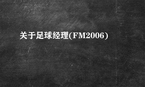 关于足球经理(FM2006)