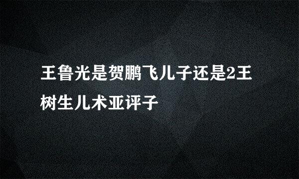 王鲁光是贺鹏飞儿子还是2王树生儿术亚评子