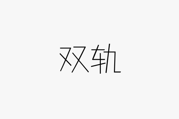 双轨是什意思