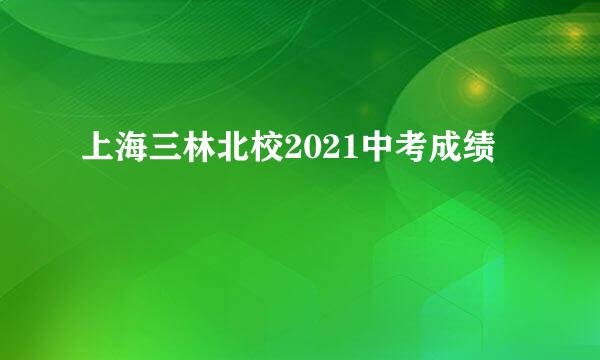 上海三林北校2021中考成绩