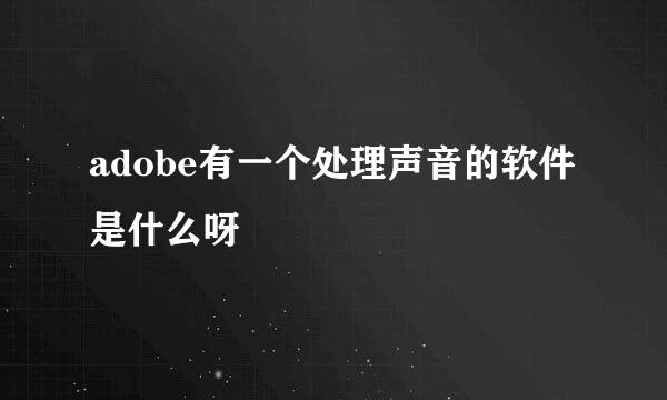 adobe有一个处理声音的软件是什么呀
