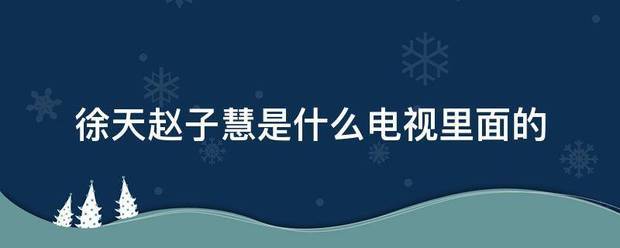 徐天赵子慧是什么电视里面的