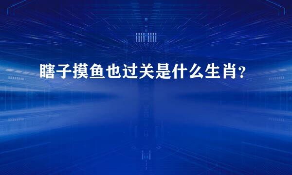 瞎子摸鱼也过关是什么生肖？
