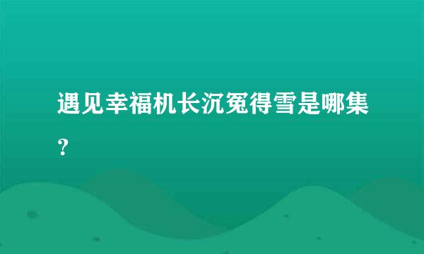 遇见幸福机长沉冤得雪是哪集？