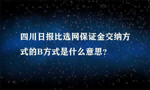 四川日报比选网保证金交纳方式的B方式是什么意思？
