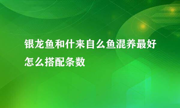 银龙鱼和什来自么鱼混养最好怎么搭配条数