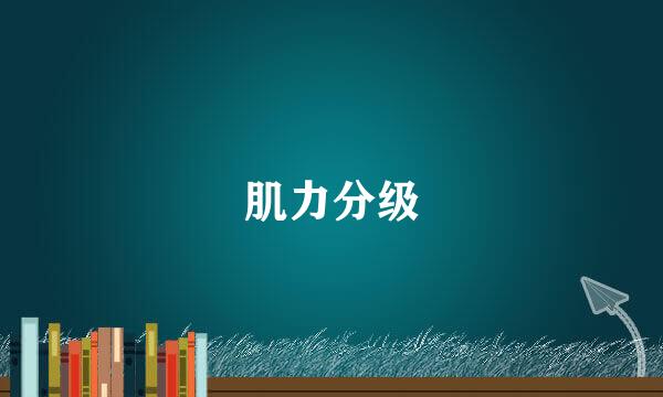 肌力分级