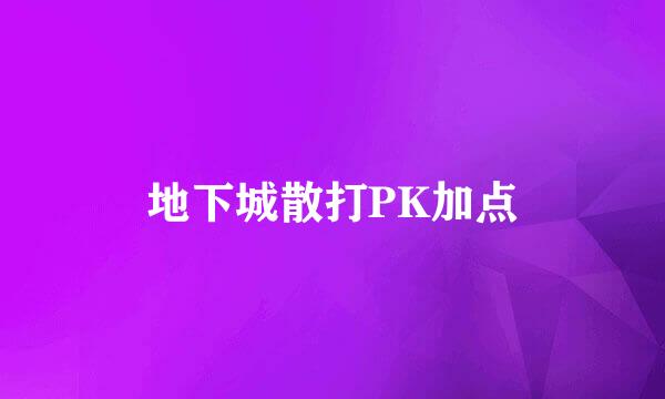 地下城散打PK加点
